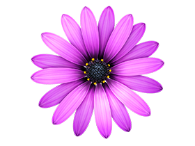 TextMate For Mac v2.0 强大的文本编辑器