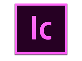 Adobe InCopy CC 2019 For Mac v14.0 专业编写和副本编辑软件