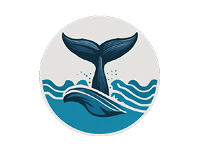 WhaleDown For Mac v2025.10 强大的在线视频与音频下载工具