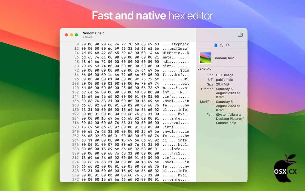HextEdit For Mac v1.1 macOS原生轻量十六进制编辑器